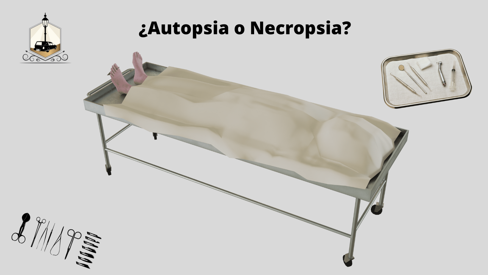 Diferencia entre Autopsia y Necropsia